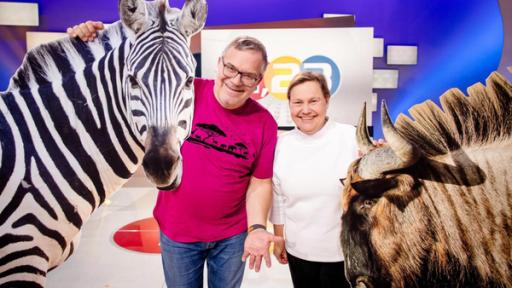auf-in-die-savanne | Rechte: ZDF "1, 2 oder 3 - Auf in die Savanne": Elton und Frauke Fischer stehen im Studio zwischen Pappaufstellern von einem Zebra und einem Gnu.