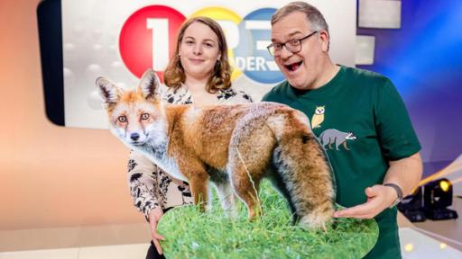 Wildtiere im Wald | Rechte: ZDF "1, 2 oder 3 - Wildtiere im Wald": Im Studio: Dr. Sophia Kimmig und Elton halten den Pappaufsteller eines Rotfuchses.