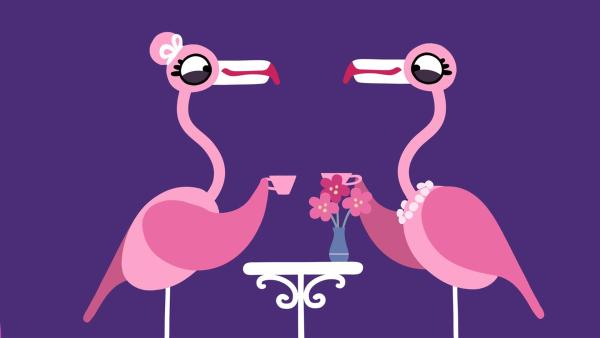 Die Flamingos genießen ihr Kaffeekränzchen.