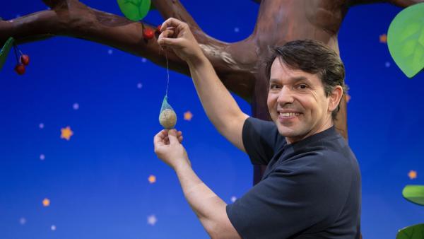 Juri hängt einen Meisenknödel auf.