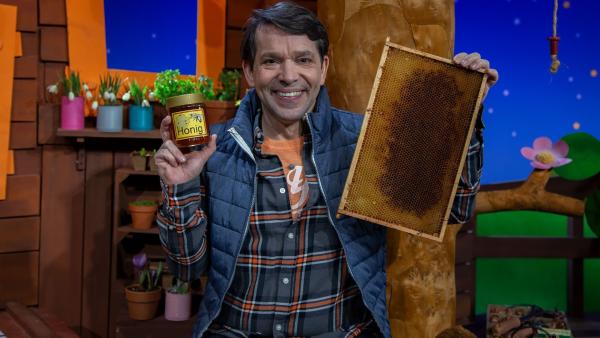 Juri hat sich Honig direkt bei einer Imkerin gekauft und hat eine Bienenwabe geschenkt bekommen. Er ist erstaunt, wie präzise diese Waben gebaut sind.