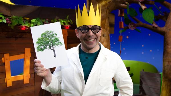 Nur der König des Waldes trägt eine Krone - so oder so ähnlich erklärt Professor Juri das Thema des Tages: die Baumkrone.