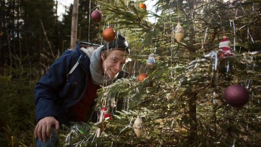 Der Christbaum-Check / Checker Tobi hinter einem Christbaum.