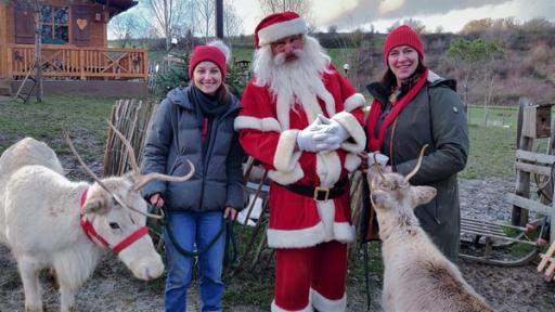 Der Weihnachts-Check | Checkerin Marina mit dem Weihnachtsmann und seinen Rentieren. Naja, also eigentlich gehören diese hier Sonja. Sie betreibt eine Rentieralm.