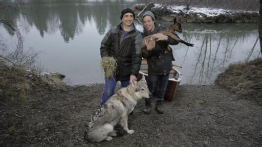 Wer frisst wen?! | Rechte: BR / megaherz gmbh / mathias hagn Wer frisst wen?! / Checker Tobi mit Ziegenbauer Günther Gebauer, dem Wolf, dem Zicklein und dem Heu | Bild: BR / megaherz gmbh / mathias hagn