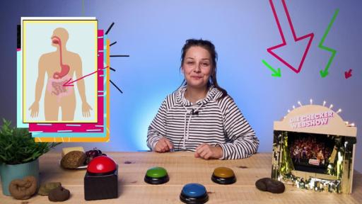 Das große Geschäft · Eine echte Kack-Folge | Checkerin Marina sitzt mit einer Grafik zum Verdauungstrakt im Studio.