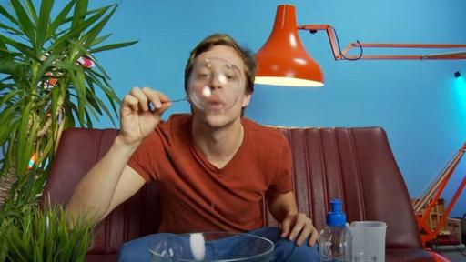 Checker Tobi - Quick Check | Rechte: BR / megaherz GmbH Tiger | Moos | Seifenblasen (20) /