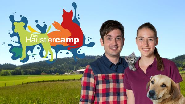 Das Haustiercamp auf tivi.de