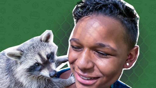 Hilfe für Igel, Waschbär und Vogel - Hörfassung | Rechte: SWR Waschbär in der Wildtierpflegestation - das Tierschutzteam