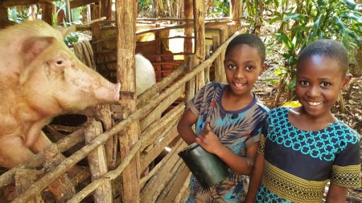 Neema und Joshua in Tansania: Unsere kleine Farm | Rechte: SWR Neema und Joshua: Unsere kleine Farm