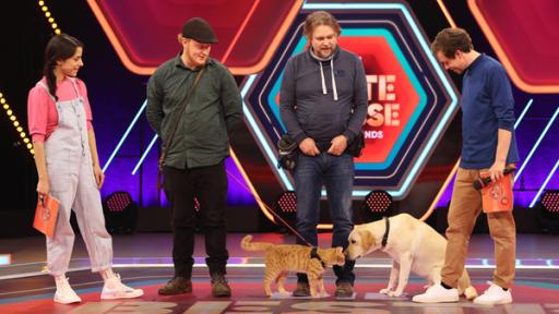 Film-Tiertrainer Marco Heyse zu Gast | Rechte: KiKA