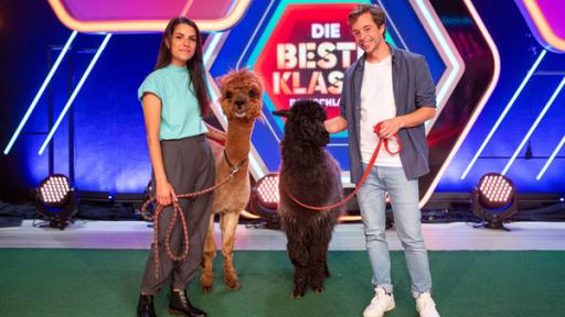 Rechte: KiKA/Anja Feßer Clarissa und Tobi mit zwei besonderen Studiogästen, den Alpakas, bei "Die beste Klasse Deutschlands" 2021.