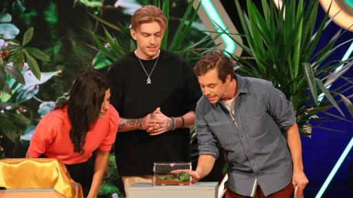 Clarissa und Tobi mit ihrem Studiogast Adrian Kozakiewicz, einem Experten für tropische Insekten