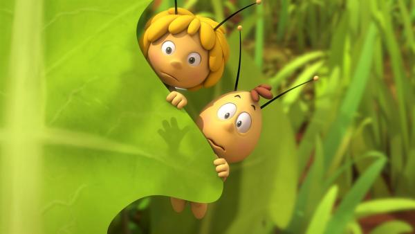 Die Biene Maja | Rechte: ZDF/Studio100 Animation