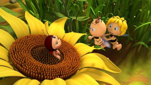 Lara sitzt auf einer Sonnenblume und erhält Besuch von Maja und Willi.