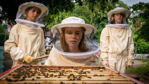 Bienenmord | Rechte: NDR/Letterbox - Boris Laewen Pippa sieht sich den Bienenstock genauer an.