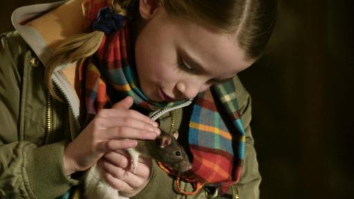 Die Ratte ist los | Rechte: NDR .
