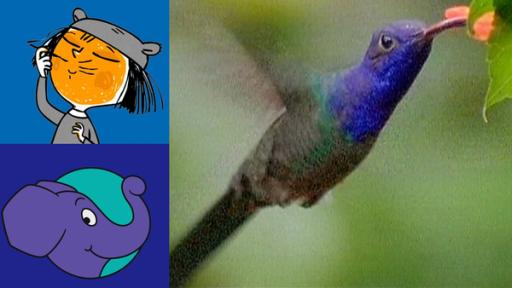 Folge 458 - Bunt | Rechte: WDR Elefant und Hase haben sich mit Farbe angemalt.