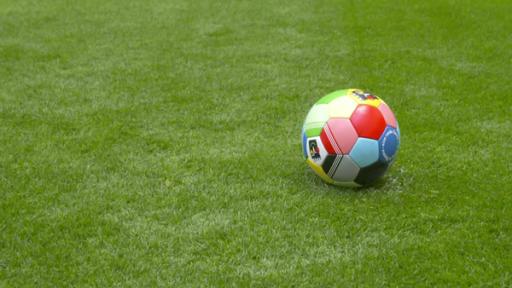 Wie kommen die Linien aufs Fußballfeld? | Rechte: WDR Die Umkleidekabinen im Stadion · Elefant und Hase spielen Fußball · Der Rasen im Stadion · Biene und der Fußball · Wie groß ist ein Stadion? · Elfmeterschießen mit Felix Magath · Fußball-Training