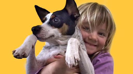 Lenny und Twiek treffen eine Raupe · Eva hat einen Hund aus Mexiko · Ein müder Mops · Elefant, Hase und die Bananenschale · Pudel-Ballett · Elefant und Hase machen Bocksprünge 