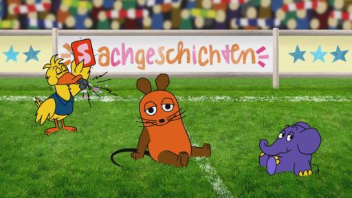 MausSpezial: Welt-Schul-Maus | Rechte: WDR Maus sitzt auf einem Fußballfeld