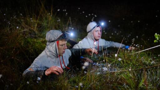 Im Moor | Rechte: ZDF Bettkampf bei Nacht