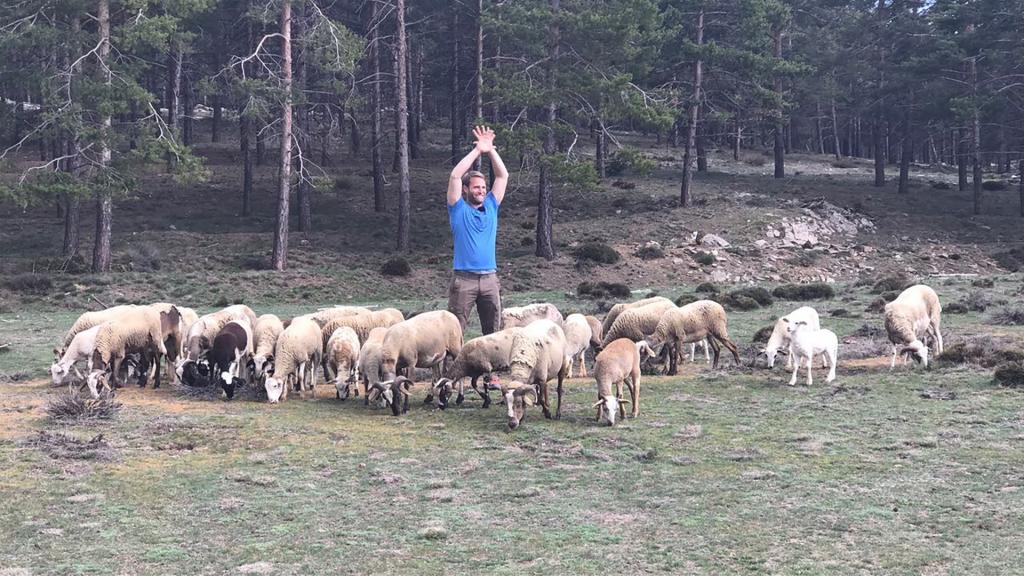 Coach Tobi stellt jeden Tag neue Herausforderungen. Heute müssen Schafe getrieben werden.