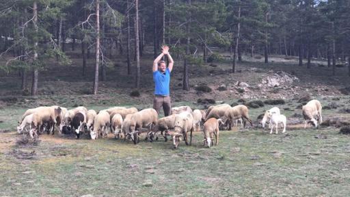 Durch die Wildnis - Sierra Nevada (S04/E07) | Rechte: E+U-TV Film- und Fernsehproduktion Durch die Wildnis - Sierra Nevada (S04/E07)