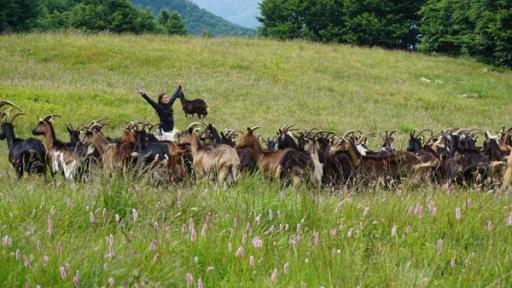 Durch die Wildnis Slowenien (6) | Rechte: hr Durch die Wildnis Slowenien