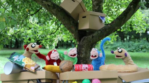 Die Müll-Auffuhr | Rechte: NDR Die Erdmännchen haben neue Nachbarn