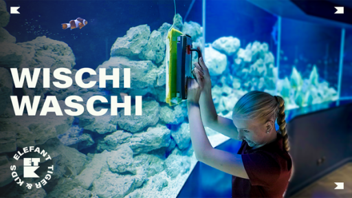 Elefant, Tiger & Kids (10): Er springt auf mich zu! | Rechte: MITTELDEUTSCHER RUNDFUNK Ein Mädchen beim Putzen einer Aquariumsglasscheibe.