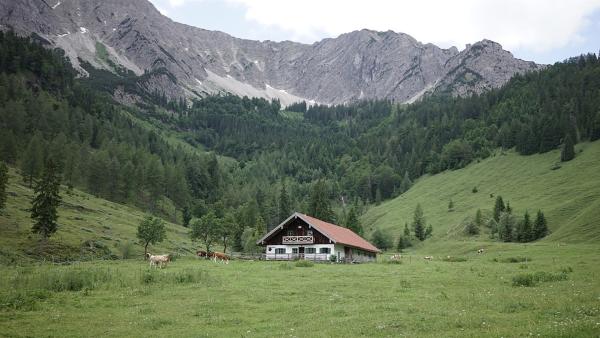 Die Almhütte bei "5VOR12"