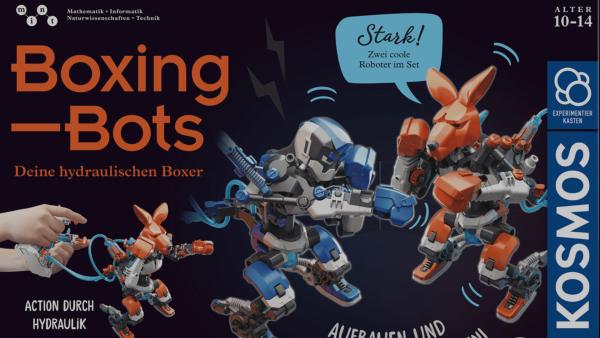 Boxing Bots | Rechte: Kosmos