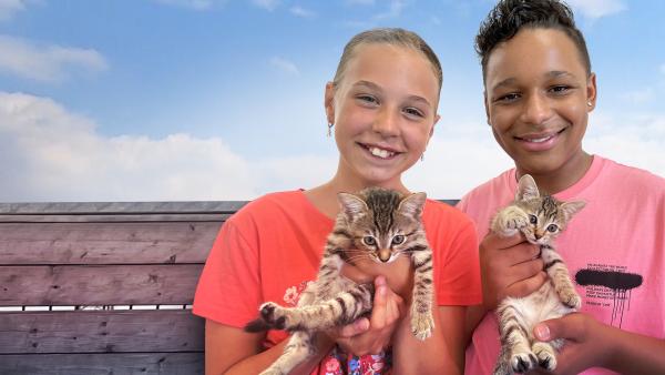 Verena und Tyler halten beide eine Baby-Katze in der Hand und lächeln in die Kamera.