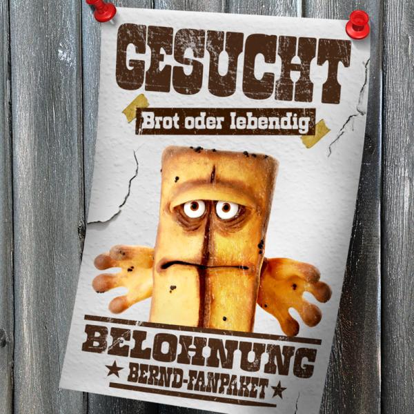 „Gesucht“-Plakat mit Bernd das Brot, der besorgt hinter einem Holzzaun hervorschaut.
