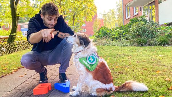 Jason mit einem Assistenzhund für Gehörlose.