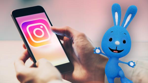 Das Bild zeigt Kikaninchen, einen blauen Hasen. Im Hintergrund ist eine Hand zu sehen, die ein Smartphone hält, auf dem das Logo von Instagram abgebildet ist. 