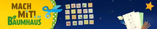Gelber Hintergrund auf dem sich 20 bunte Memorykarten nebeneinander angeordnet befinden. Auf den Karten sind grün, braun und gelb angemalte Baumblätter sowie dessen Früchte abgebildet. Zu sehen sind u.a. Eicheln, Kastanienblätter sowie Birkenblätter. Jedes Baumblatt hat einen dazugehörigen Partner.