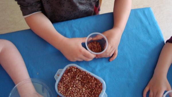 Kinder füllen leeren Joghurtbecher mit trockenen Linsen