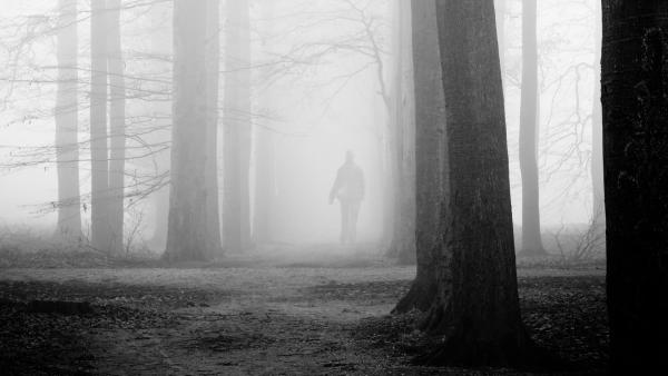 Mensch im Nebel und Wald