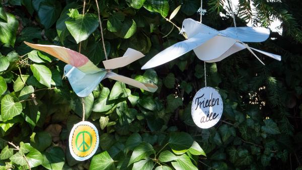 Friedenstauben aus Papier gefaltet mit Wünschen und Botschaften. Die Steckfriedenstauben hängen in einem Baum. 