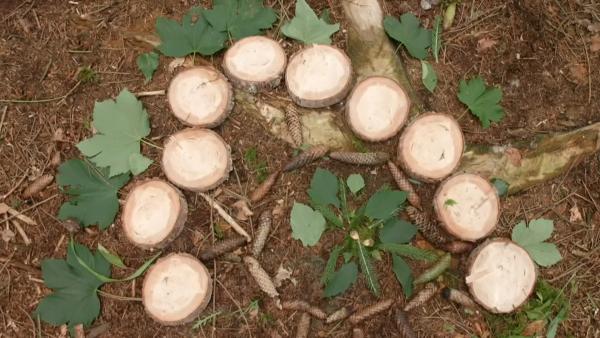 Ein Gesicht aus Ton auf einem Baum, verziert mit Blumen und Blättern 