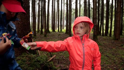 Rechte: KiKA/Motion Works GmbH Die Murmeluchse haben für die Kinder Süßigkeiten im Wald versteckt.