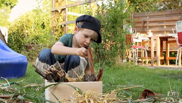 Ein Junge hockt im Garten vor einer Holzkiste. Er befestigt Holzstücke in der Kiste für Insekten.