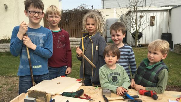 Kinder stehen an einer Werkbank. Vor ihnen liegt Holz, Schrauben und Werkzeug.