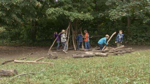 Kindergartenkinder bauen aus Ästen eine Hütte.