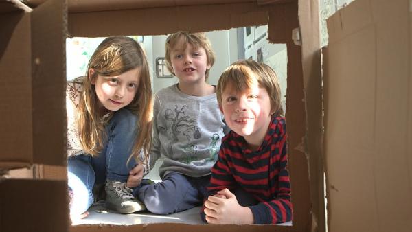 Jacob, Ella und Leo bauen ein Haus aus Pappe.