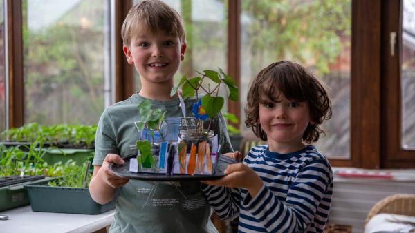 Zwei Brüder halten stolz ihren gebastelten Fenstergarten mit Pflanzensetzlingen in der Hand.