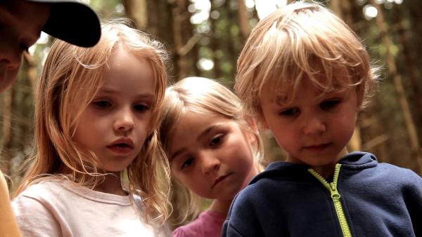 Vier Vorschulkinder stehen im Wald und blicken aufmerksam nach unten Richtung Waldboden.