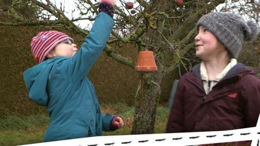 Rechte: KiKA/Motion Works GmbH Zwei Kinder zeigen ihr Bild. Andere hängen eine Futterglocke auf. Ein Tannenbaum ist geschmückt.